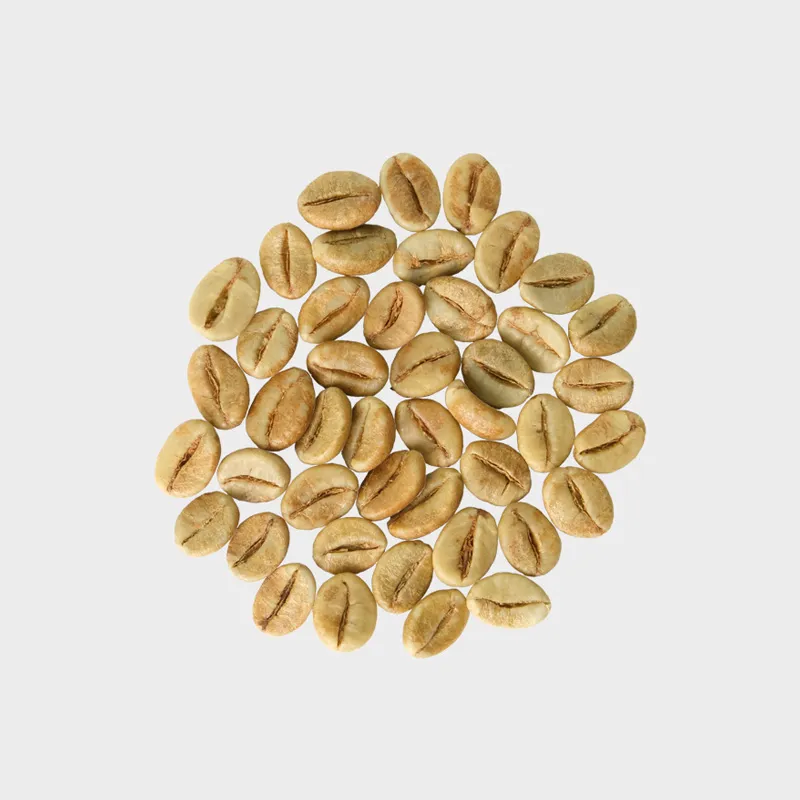 Fermented Natural Robusta (Fine Robusta)